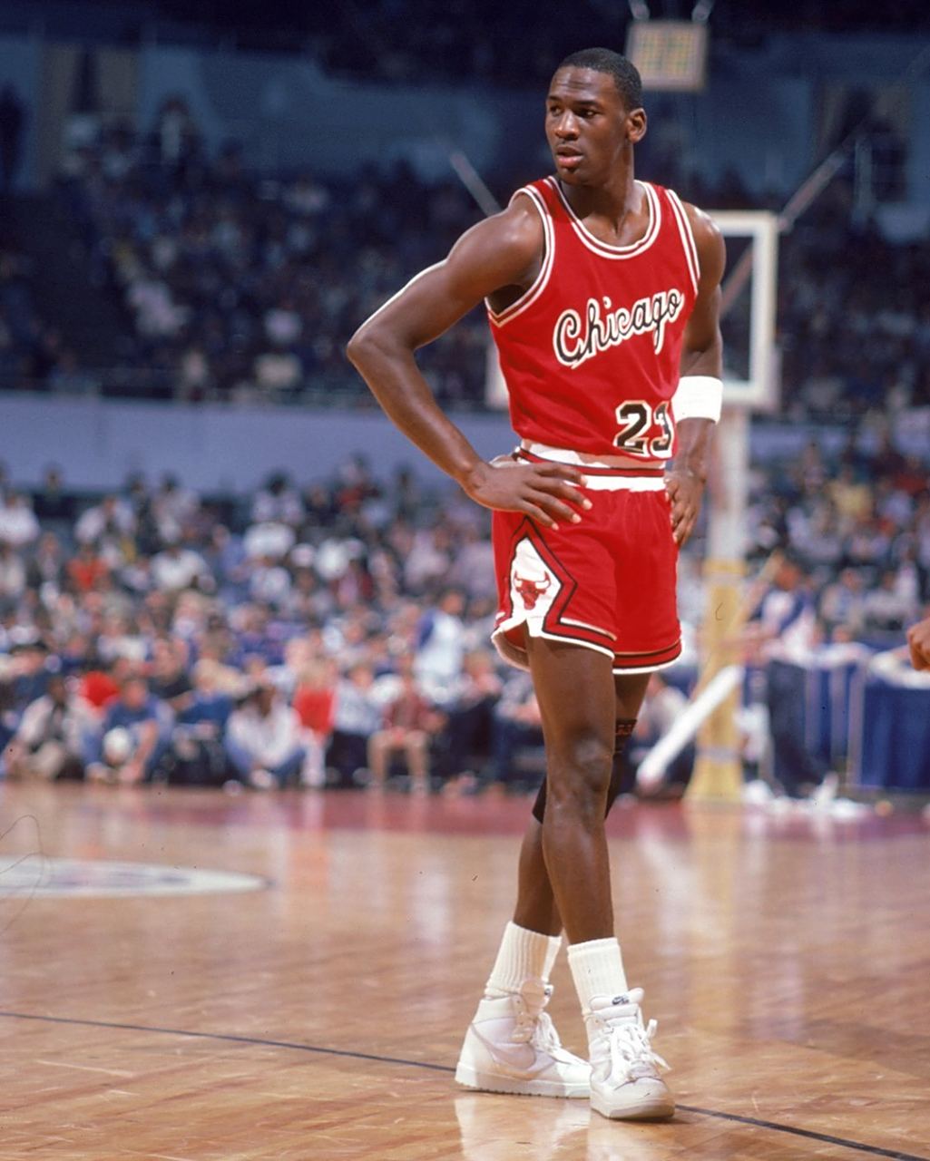 手拱手让出 手拱手让出